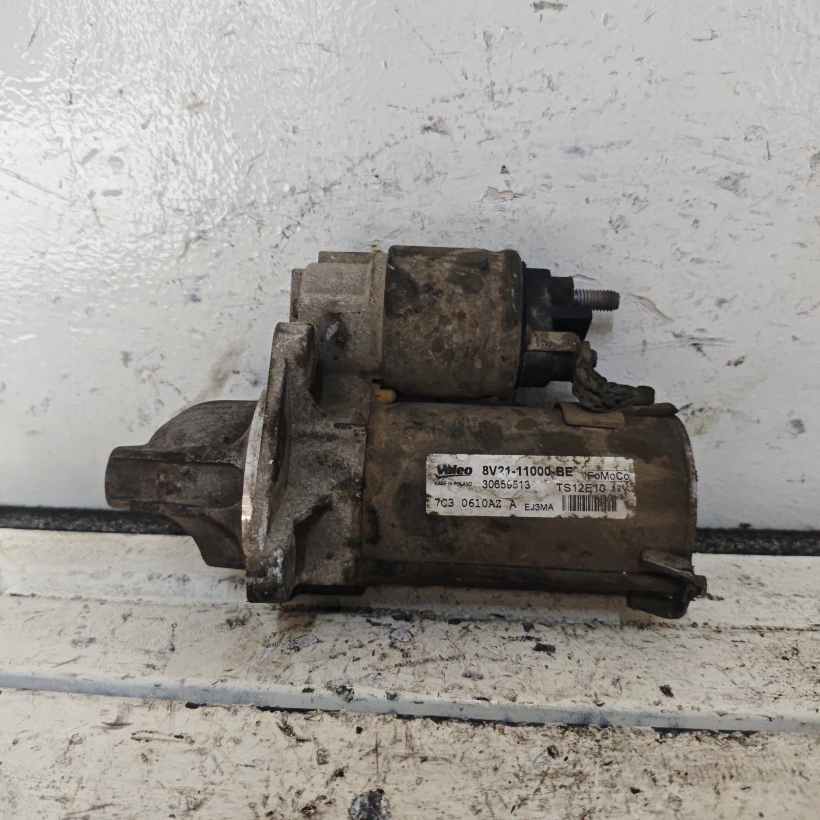 Burro Ford Focus 2013 - AA00117563